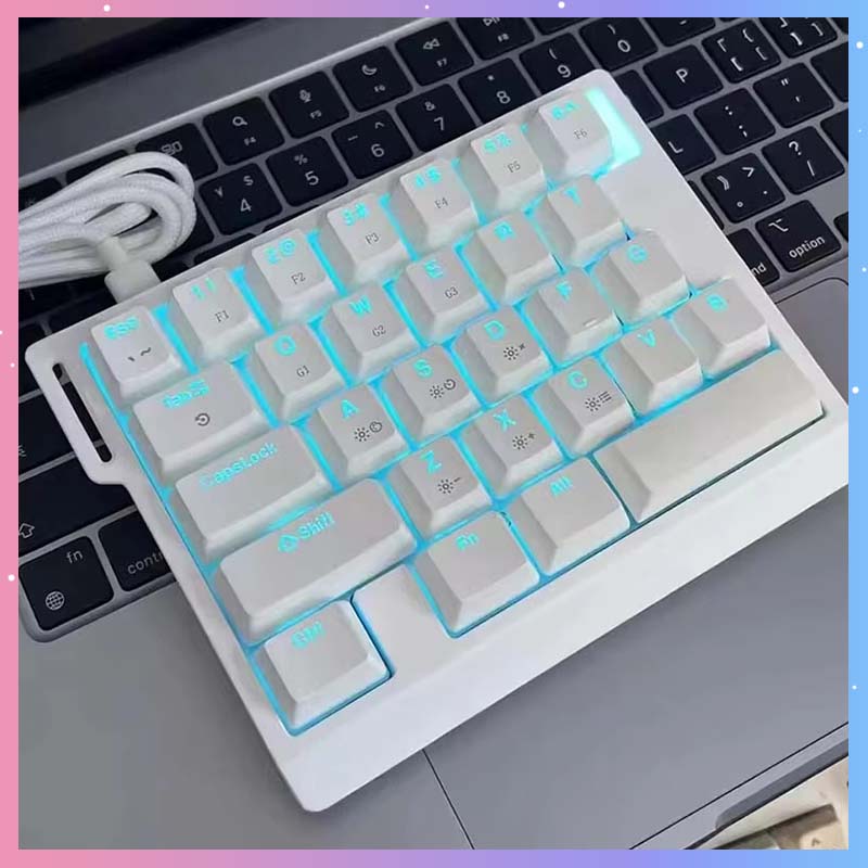 Esports Gaming Keyboard - HE30 Mechanical Gaming Keyboard 29keys Magnetic